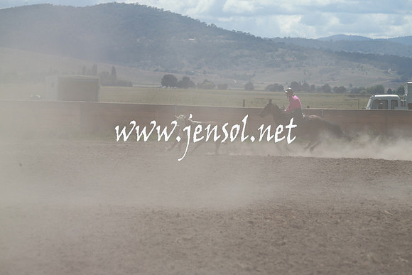 AdaminabyCampdraft_0389