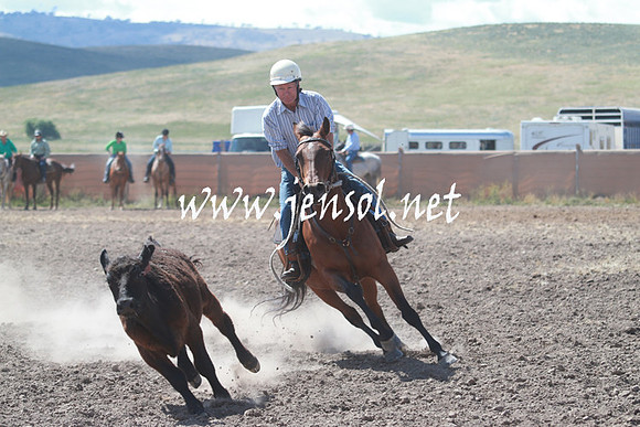 AdaminabyCampdraft_0296