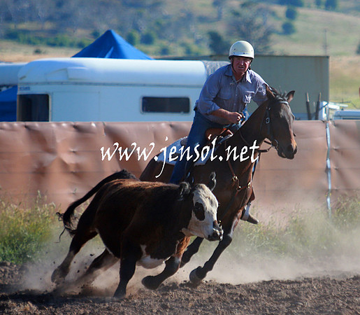 AdaminabyCampdraft_0017