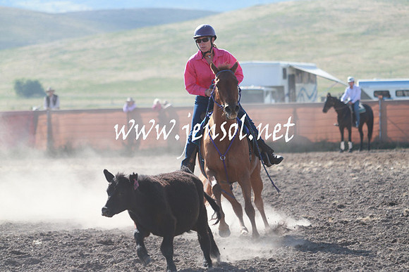 AdaminabyCampdraft_0084