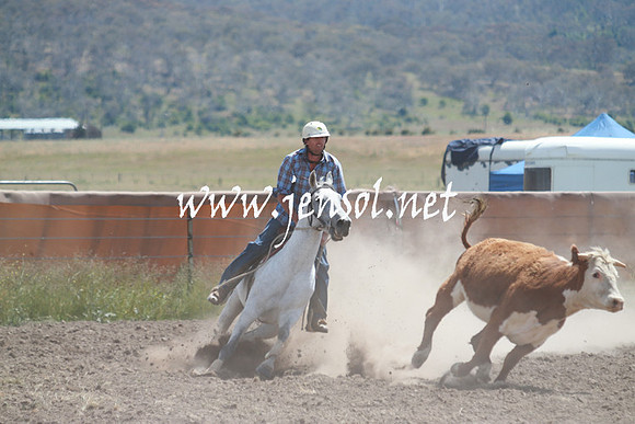 AdaminabyCampdraft_0415