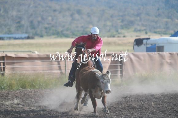 AdaminabyCampdraft_0040