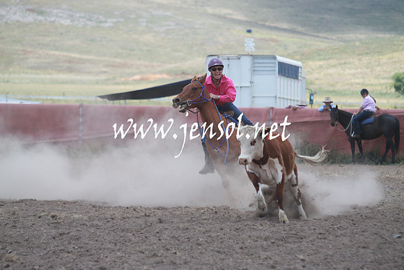 AdaminabyCampdraft_0488
