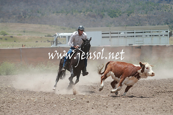 AdaminabyCampdraft_0551