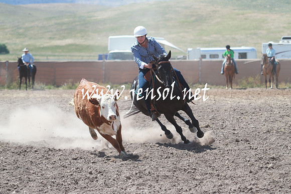AdaminabyCampdraft_0359