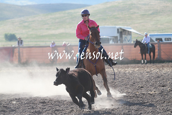 AdaminabyCampdraft_0083
