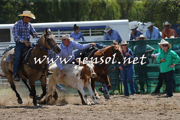 CoomaRodeo2015_0743