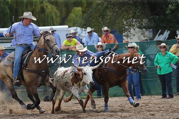 CoomaRodeo2015_0574