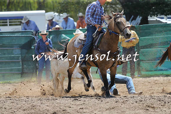 CoomaRodeo2015_0748