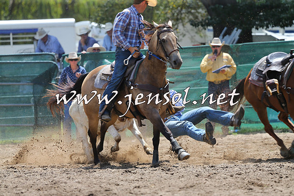 CoomaRodeo2015_0747