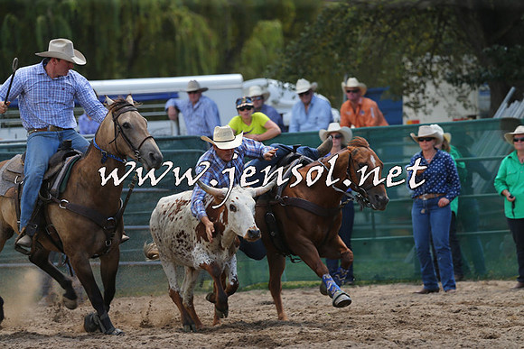 CoomaRodeo2015_0575