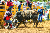 IMG_0020