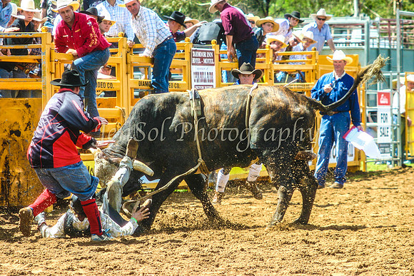 IMG_0020