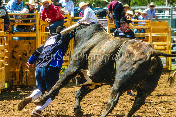 IMG_0023