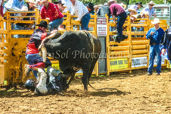 IMG_0021