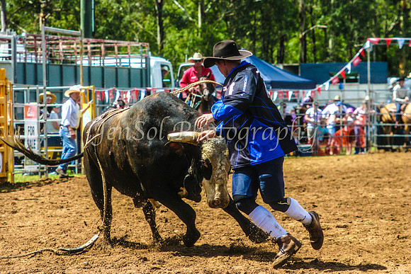 IMG_0022