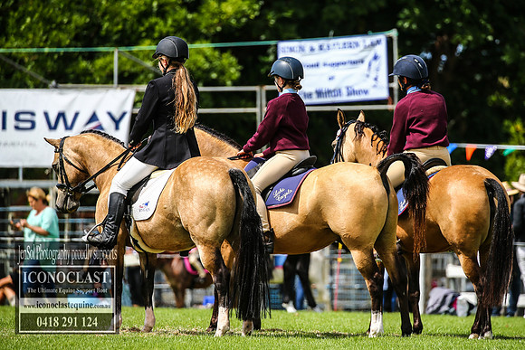 MiltonShow2018_1748