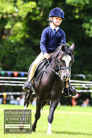 MiltonShow2018_1857