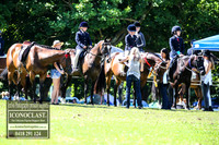 MiltonShow2018_0169