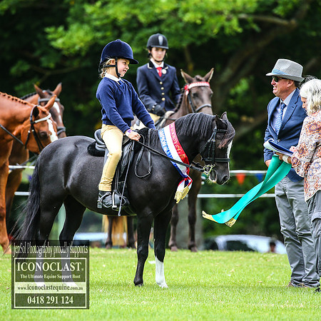 MiltonShow2018_1907