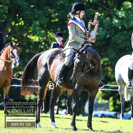 MiltonShowRodeo2018_0256