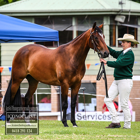 MiltonShow2018_2943
