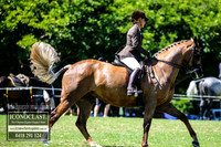 MiltonShow2018_0830