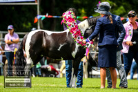 MiltonShow2018_1402