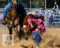 BraidwoodRodeo2015_4047