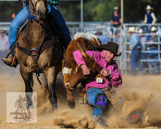 BraidwoodRodeo2015_4047