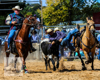 BraidwoodRodeo2015_2038