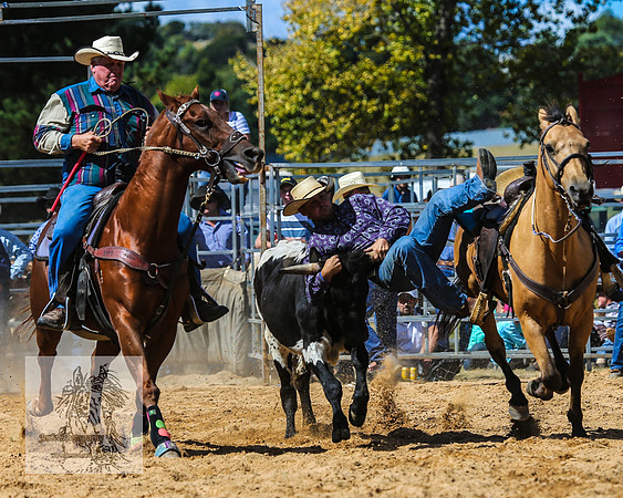 BraidwoodRodeo2015_2038