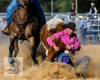 BraidwoodRodeo2015_4048