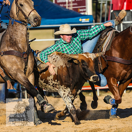 BraidwoodRodeo2015_4829