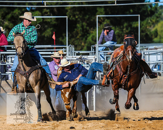 BraidwoodRodeo2015_4106