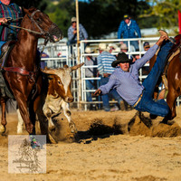BraidwoodRodeo2015_4858