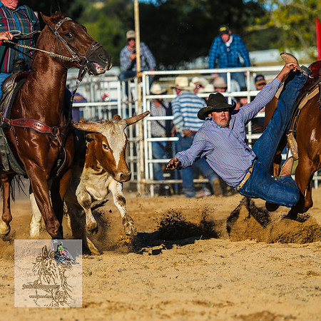 BraidwoodRodeo2015_4858