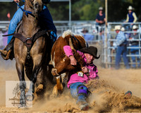 BraidwoodRodeo2015_4049