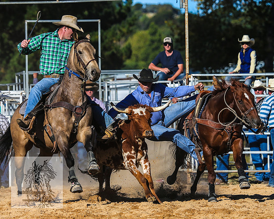 BraidwoodRodeo2015_4073