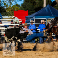 BraidwoodRodeo2015_4785