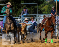 BraidwoodRodeo2015_4095