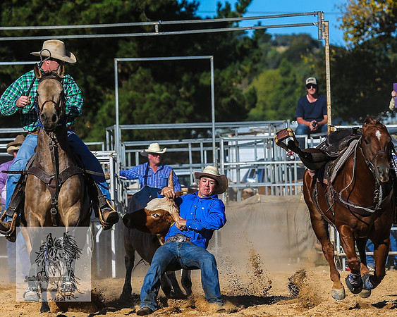 BraidwoodRodeo2015_4034