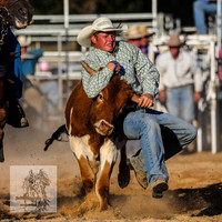 BraidwoodRodeo2015_4861
