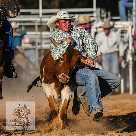 BraidwoodRodeo2015_4861
