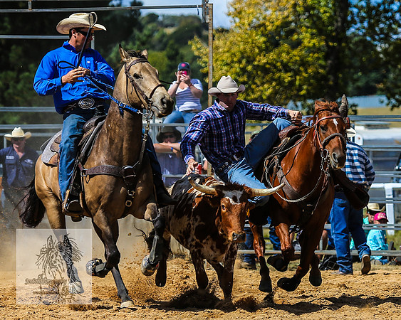 BraidwoodRodeo2015_2028