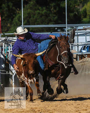 BraidwoodRodeo2015_4013
