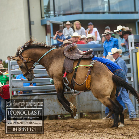 JindabyneRodeo2018_2676