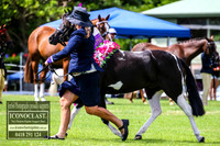MiltonShow2018_1415