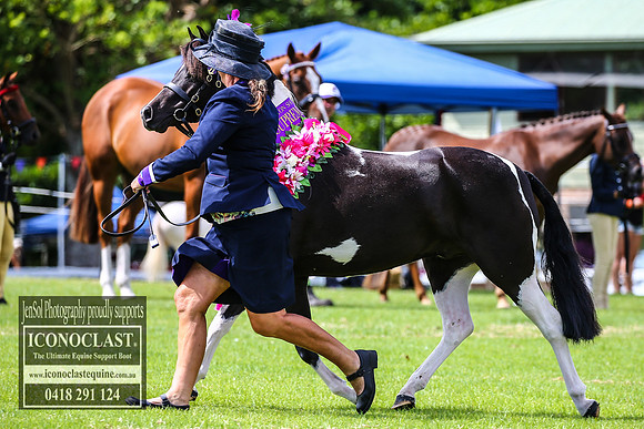 MiltonShow2018_1415