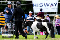 MiltonShow2018_1232
